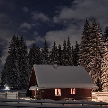 Cosy Chalet On Pokljuka - Brunarica Tinkara Zgornje Gorje Buitenkant foto