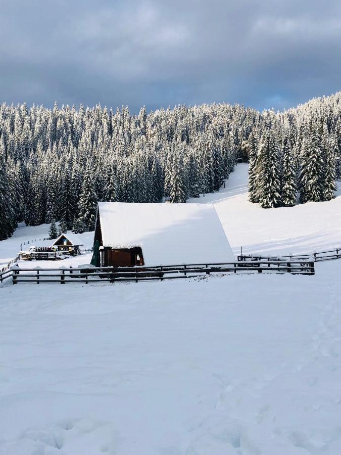 Cosy Chalet On Pokljuka - Brunarica Tinkara Zgornje Gorje Buitenkant foto