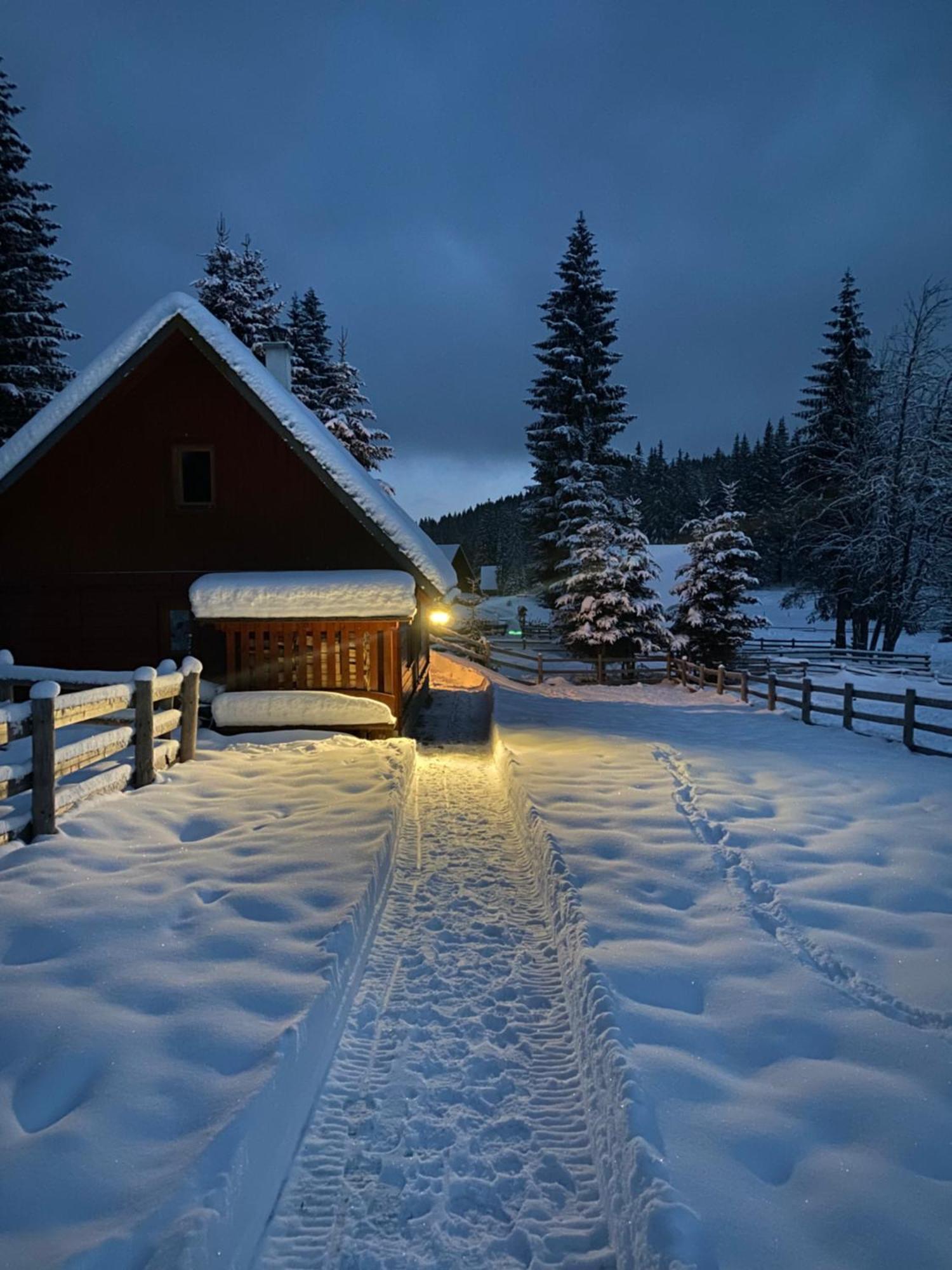 Cosy Chalet On Pokljuka - Brunarica Tinkara Zgornje Gorje Buitenkant foto