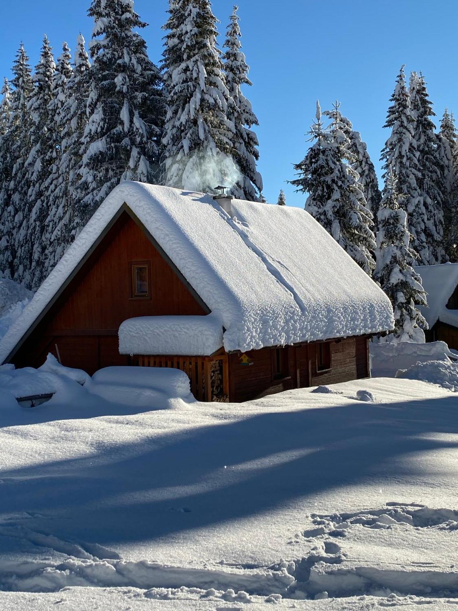 Cosy Chalet On Pokljuka - Brunarica Tinkara Zgornje Gorje Buitenkant foto