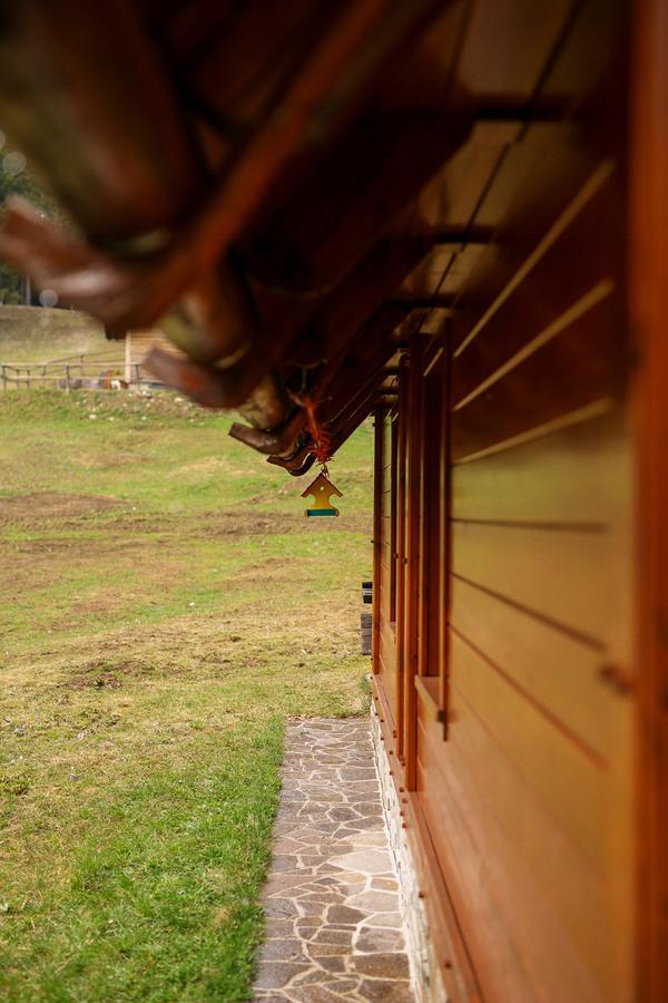 Cosy Chalet On Pokljuka - Brunarica Tinkara Zgornje Gorje Buitenkant foto